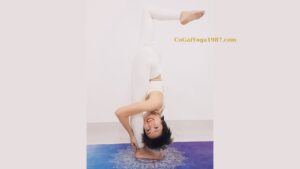 anh bia co gai yoga 1987 (5)